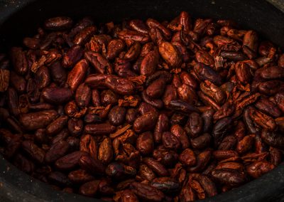 betulia-main-criollo-beans