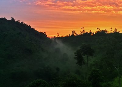 betulia-native-forest-reserve-sundown