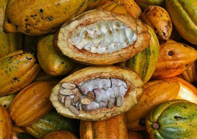 harvest_3